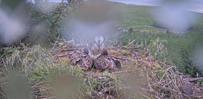 Screenshot 2025-06-24 19.53.16.png (2.09 MiB) Viewed 2324 times Screenshot 2025-06-24 19.53.16.png