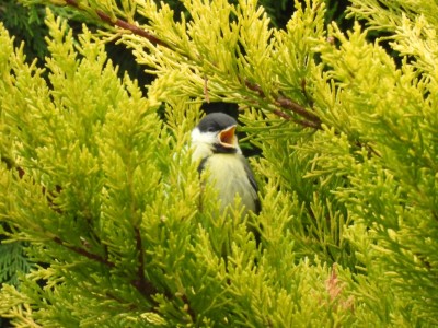 DSCN1572.JPG