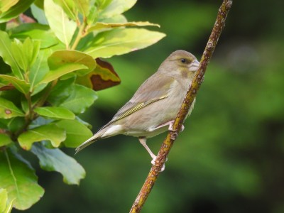 DSCN1709.JPG