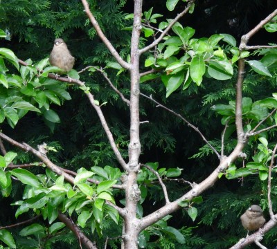 DSCN2041.JPG (885.38 KiB) Viewed 1893 times DSCN2041.JPG