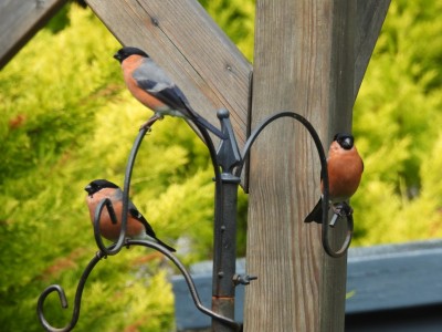 DSCN2069.JPG