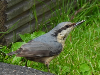 DSCN2064.JPG