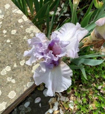 IMG_4800.jpg (1.06 MiB) Viewed 6334 times IMG_4800.jpg