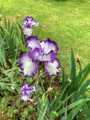 IMG_4797.jpg (1000 KiB) Viewed 6334 times IMG_4797.jpg