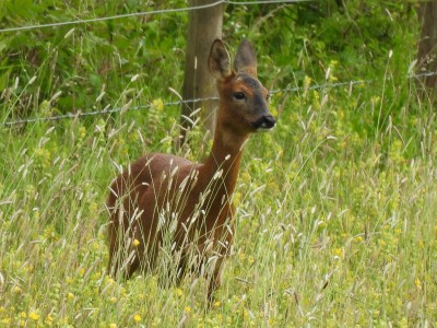 DSCN2228.JPG