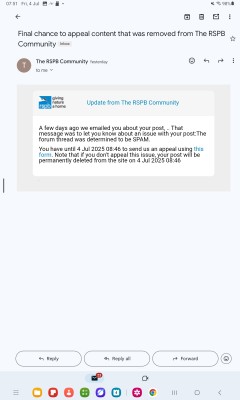 Screenshot_20250704_075101_Gmail.jpg