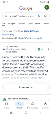 Screenshot_20250704-081937_Google.jpg