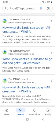 Screenshot_20250704-081947_Google.jpg