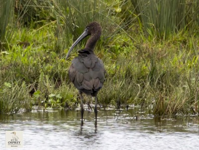 Screenshot_20251010_164030_Gallery.jpg