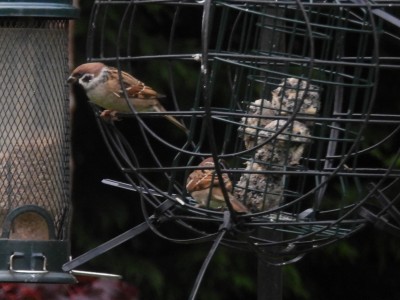DSCN3192.JPG
